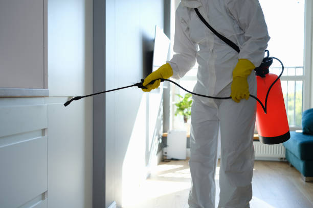 Best Mold Testing  in Clarksville, VA
